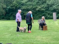 Finbar beim Sp&uuml;rhundesport 3