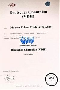 Cordula, VDH Champion
